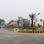 Safari Garden